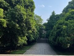 -灵谷景区
