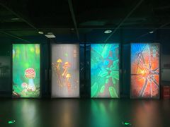 -四川大学博物馆