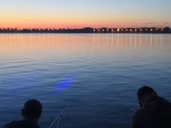 -人民防洪胜利纪念塔