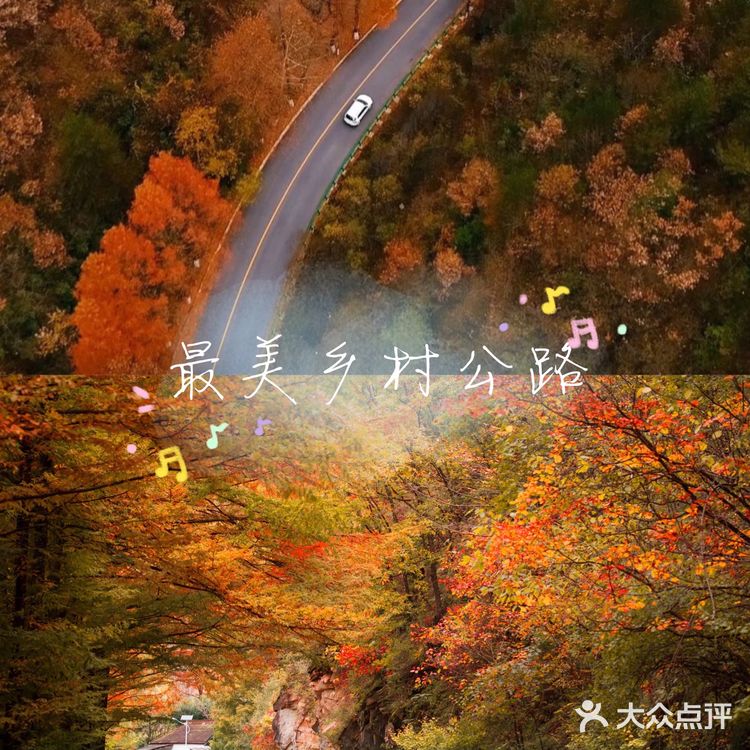 秦岭赏秋 | 这个十一假期,去看秦岭漫山红叶❗