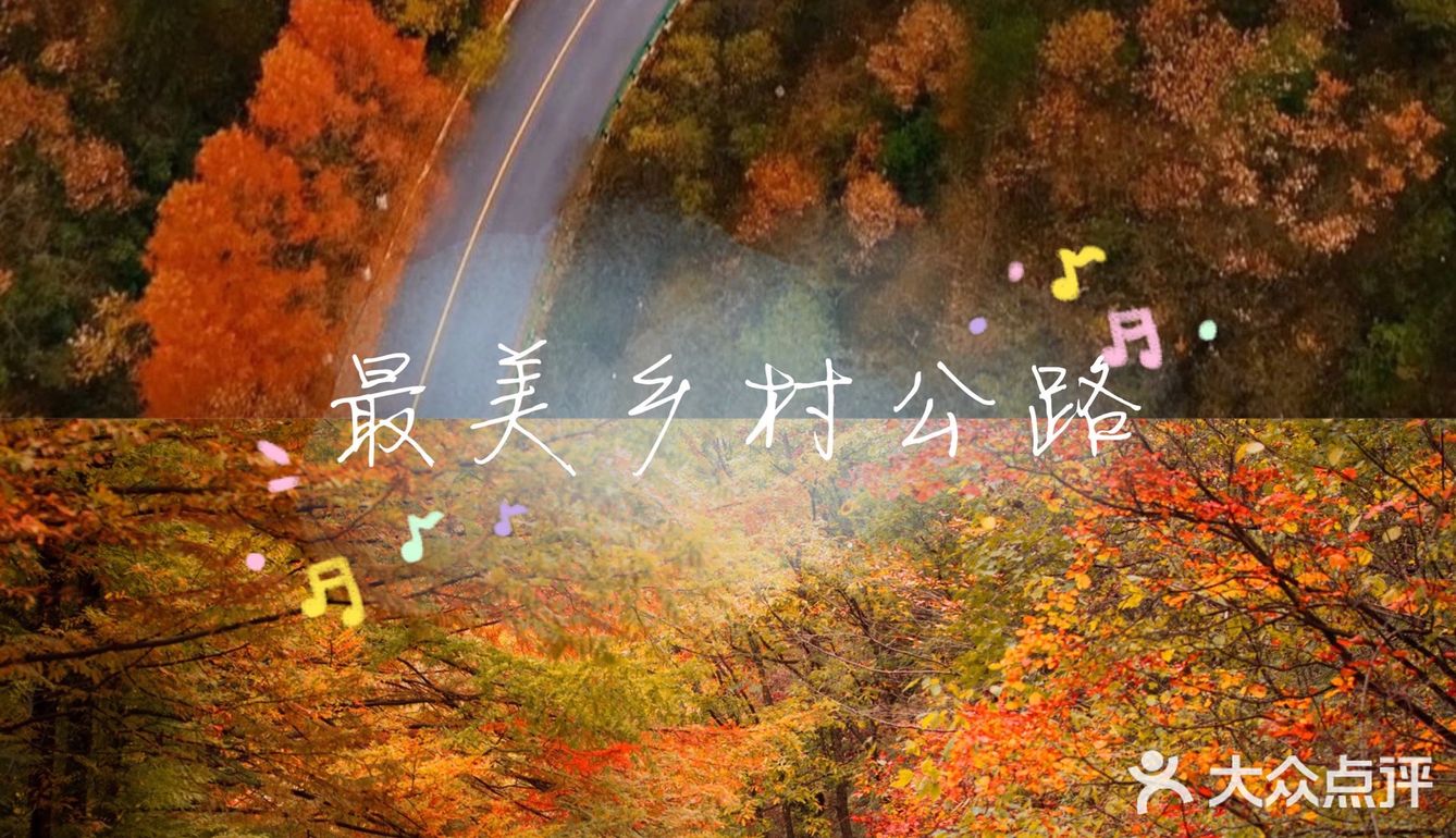 秦岭赏秋 | 这个十一假期,去看秦岭漫山红叶❗