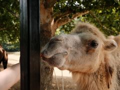 -杭州野生动物世界