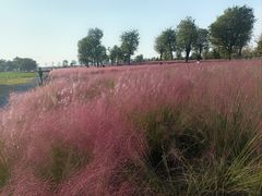 -汉长安城未央宫国家考古遗址公园