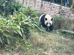 -武汉动物园