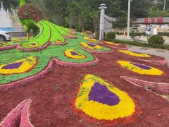 -大芦花风景区
