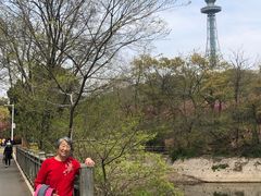 -青岛中山公园-索道售票处