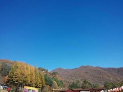 -五女峰国家森林公园