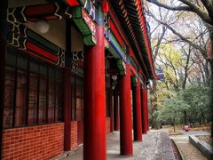 -灵谷景区