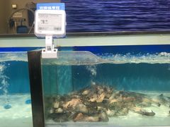-盒马鲜生(红莲店)