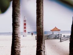 -东郊椰林
