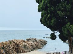 -小麦岛公园