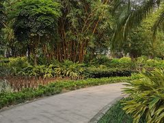 -晓港公园