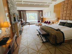 -深圳东部华侨城茵特拉根酒店