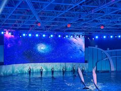 -海合安青岛极地海洋公园
