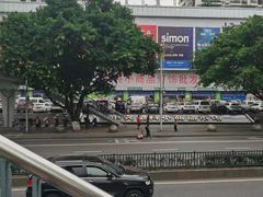 -菜园坝水果市场