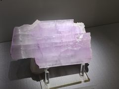 -湖南省地质博物馆