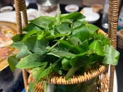 -华冠悠岚·庭院餐厅(青城后山店)