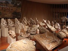 -上海自然博物馆