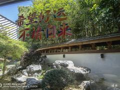 -久宴·天目湖大鱼头(恐龙园店)