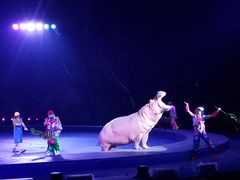 -广州长隆国际大马戏