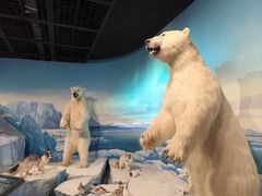 -陕西自然博物馆