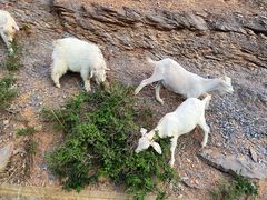 -鬼笑石后山停车场