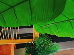 -探窝·竹笙椰子鸡(杨箕店)