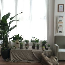 -绿皮火车照相馆 婚纱照旅拍(厦门店)