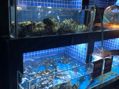 水产区-徐记海鲜(汉城湖|太奥店)