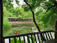 -东湖落雁景区