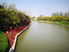 -嘉定紫藤园