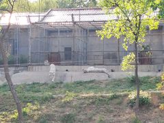 -石家庄市动物园