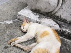 -华林禅寺