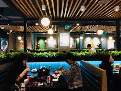 大堂-东椰·海南椰子鸡火锅(朝阳门店)