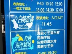 -泉城欧乐堡海洋极地世界