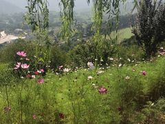 -铜川市金锁关石林