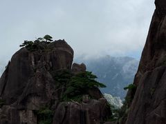 -黄山玉屏楼宾馆餐厅