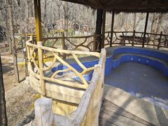 -林栖谷森林康养度假区