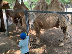 -长白岛森林公园