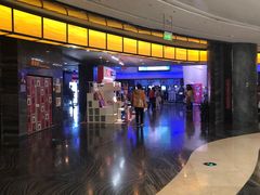 -万达影城(汉街万达广场IMAX店)