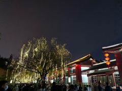 -大雁塔北广场音乐喷泉
