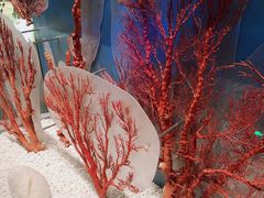 -贝林大翅鲸简餐厅(国家海洋博物馆店)