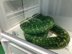 -Hamleys哈姆雷斯(东方福来德店)