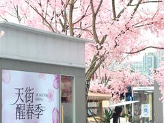 -首开·龙湖成都西宸天街
