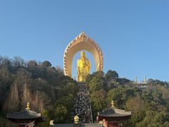 -庐山风景名胜区-东林大佛