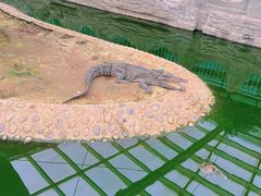 -石家庄市动物园