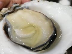 -蚝专家(北滘店)