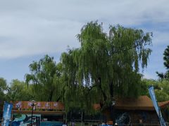 -大望京公园