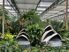 -南宫五洲植物乐园