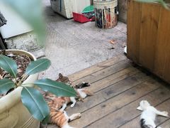 -懒鱼时光馆(沙坪坝店)